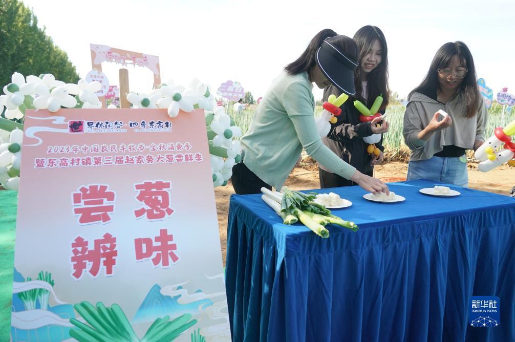 拉菲手机登录